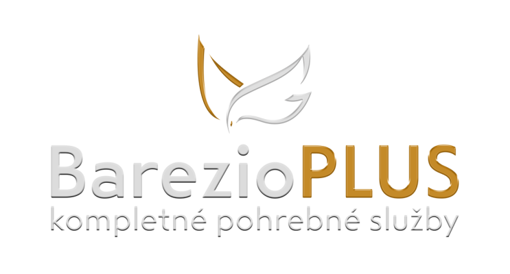 barezio plus logo